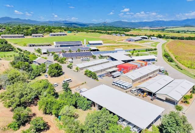 Zakhele Dlamini picture