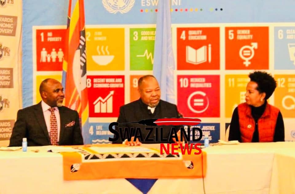 ECONOMIC PLANNING MINISTER DR THAMBO GINA: Regional consultations on UN Sustainable Development Goals(SDGs) to enable stakeholders to contribute on Rescue Plan.