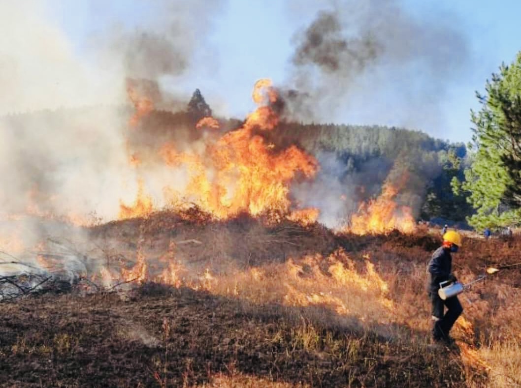 Montigny Investments urges public to prevent and urgently report forest fires to protect jobs and economy.