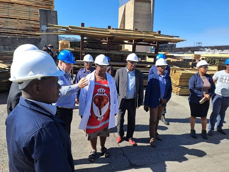 Labour Minister Phila Buthelezi visits Montigny Forestry company, meets management and staff.