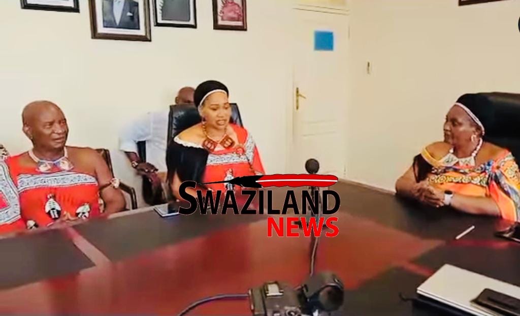 Senate President Lindiwe Dlamini leads Climate Committee, donates R30,000.00 to Disaster Management Agency to assist hailstorm victims.