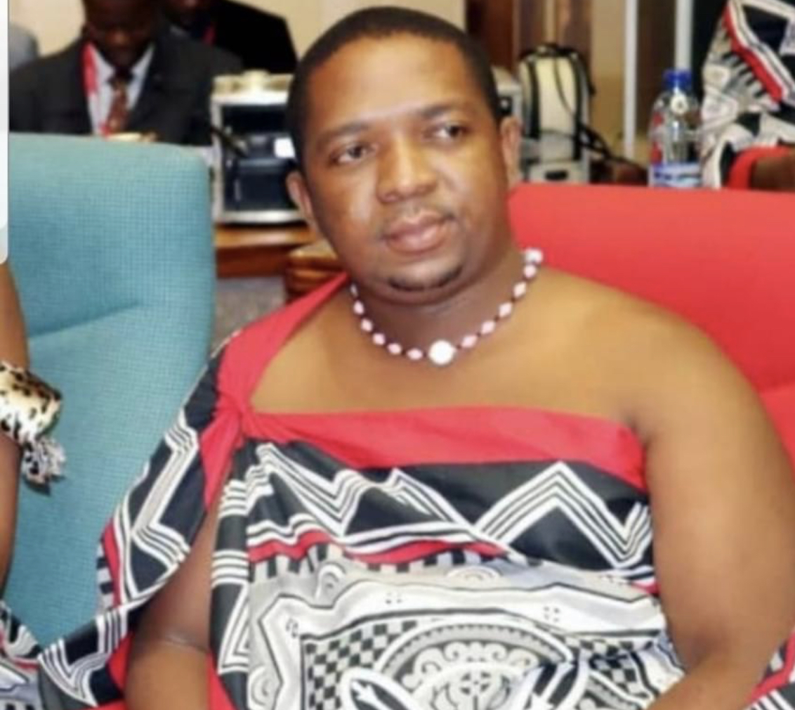  REVEALED: Minister Buthelezi advised government to ignore protesting public  transport employees, hunger will force them back to work.