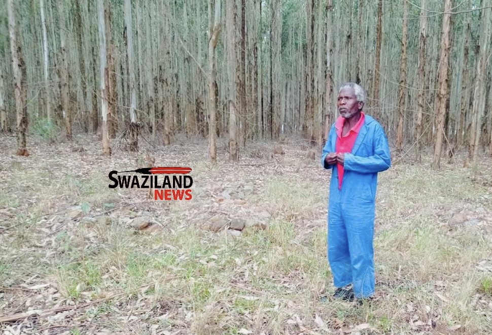 NO KUPHAHLA:Gege resident Mciniseli Nhleko whose home was demolished by powerful businesspeople including Taiwan investors,stands next to his ancestors seized gravesite.