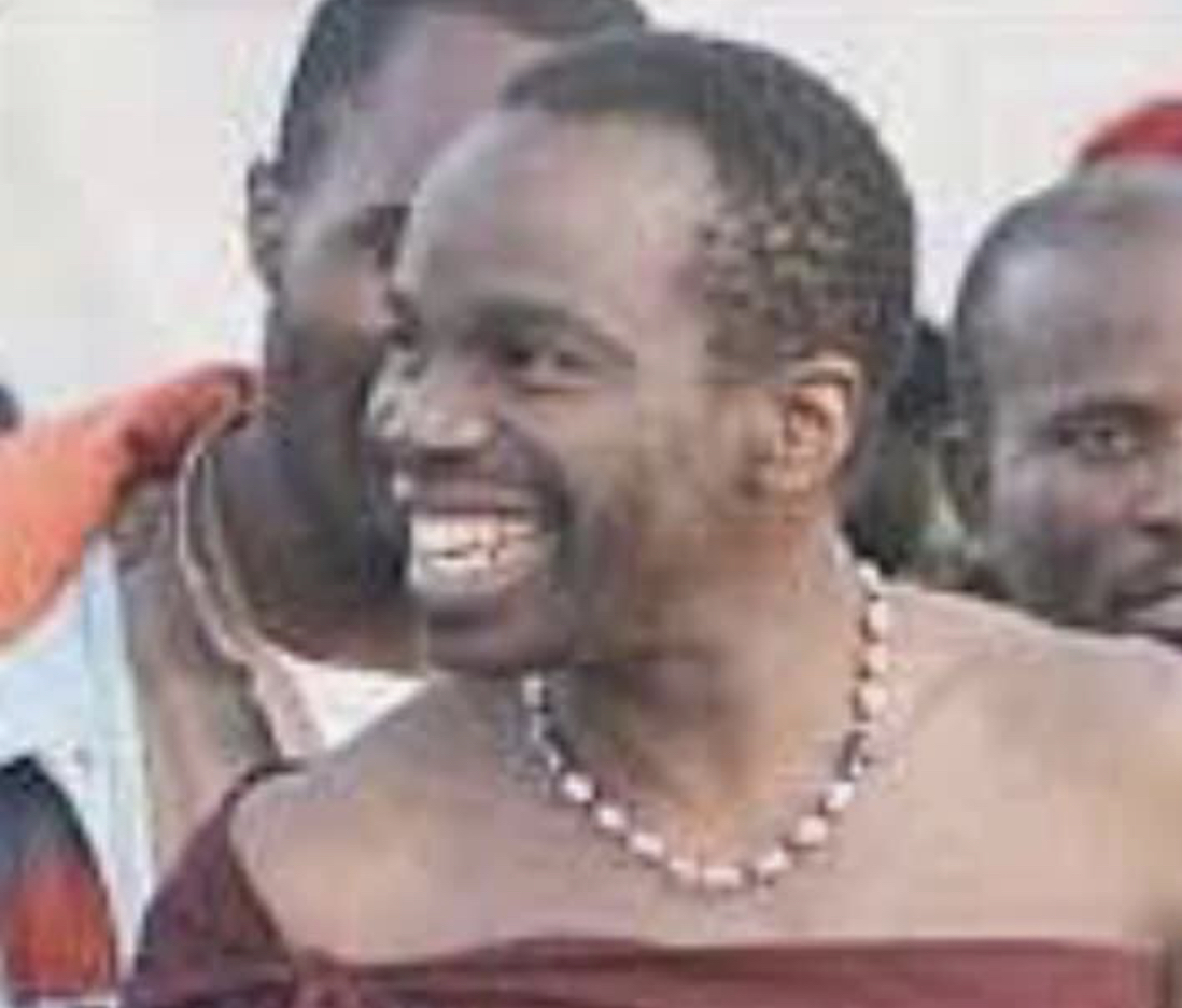  King’s interpreter Sihle Dlamini’s first world sentiments amount to ‘political madness’.