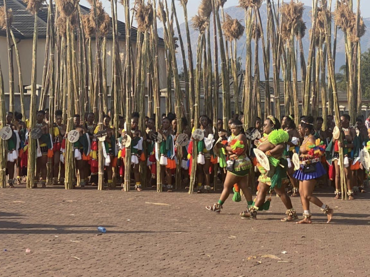 Thousands of maidens delivered umhlanga,danced before King Mswati.