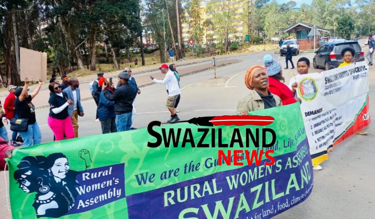 Eswatini pro-democracy groups protest at the Human Rights Commission offices amid shortage of drugs in public hospitals.