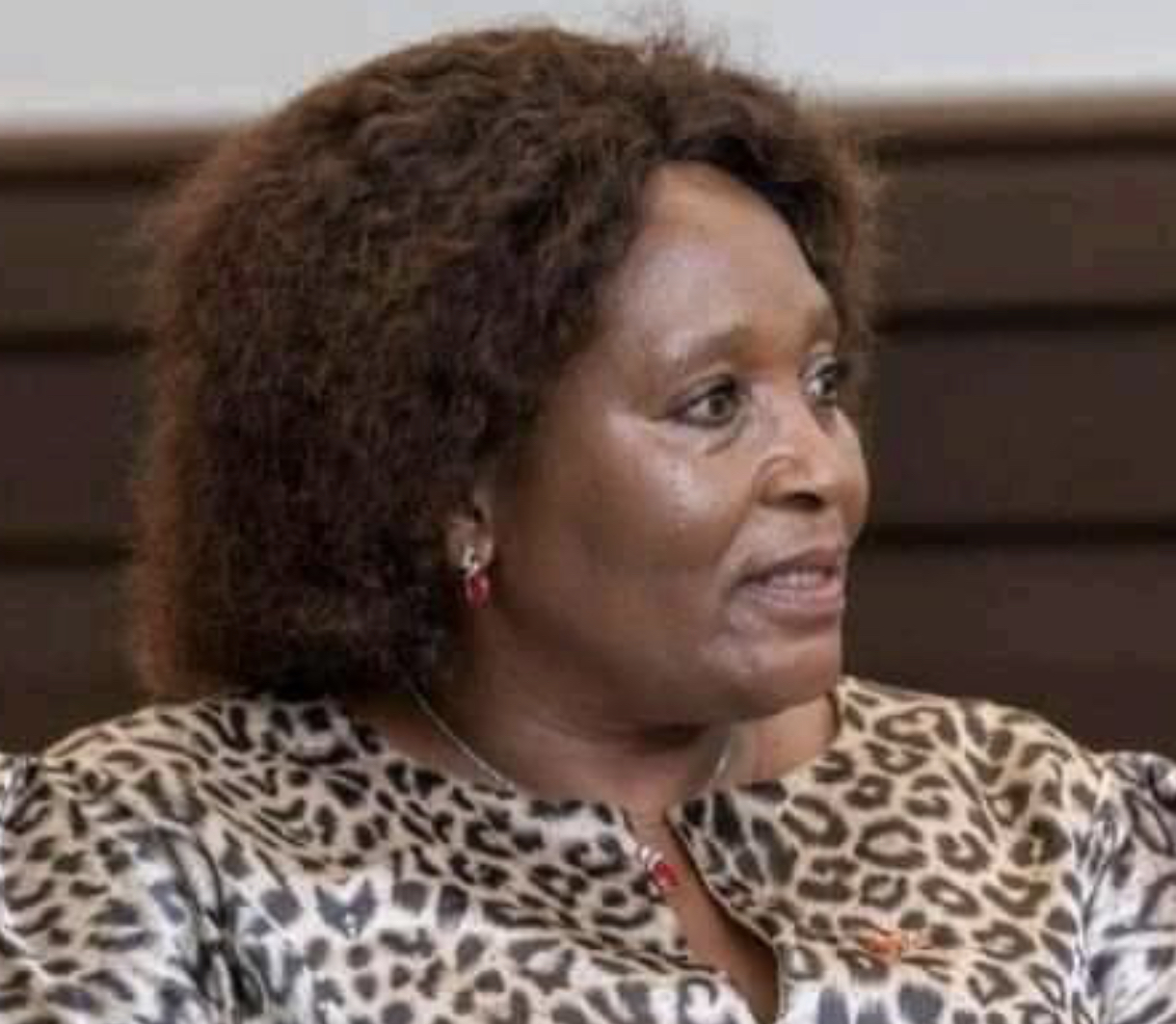 Eswatini Foreign Affairs Minister defends Mswati on refusal to attend SADC Summit amid political crisis. 