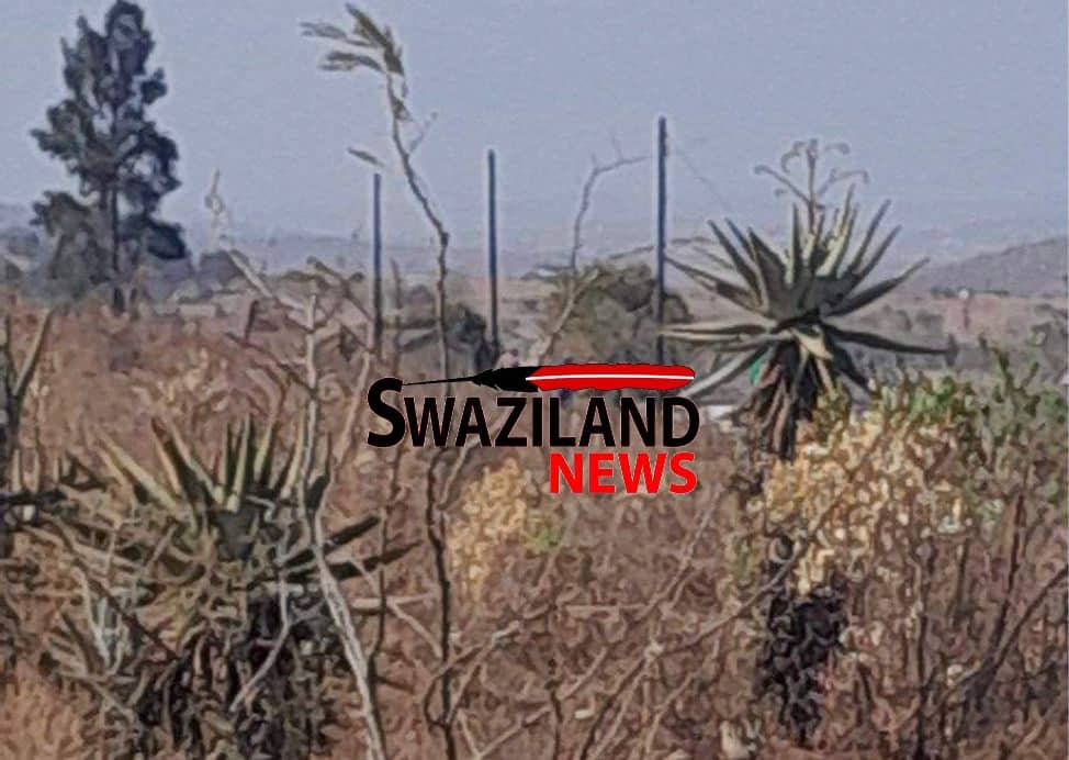 Umndeni grabs land from widow Thabsile Mbingo-Shongwe of eLwandle after death of her husband,concerned family member appeals to Chief Nkamane for intervention.