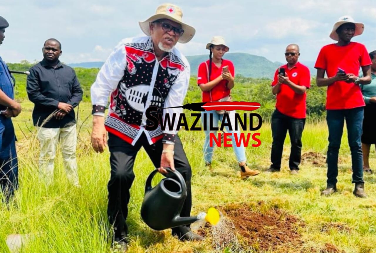 ROYAL GUARDS:DPM Themba Masuku is seriously sick uhamba nako, sihle sitsi sisemhlanganweni weBukhosi sibone libhuluko selimanti.