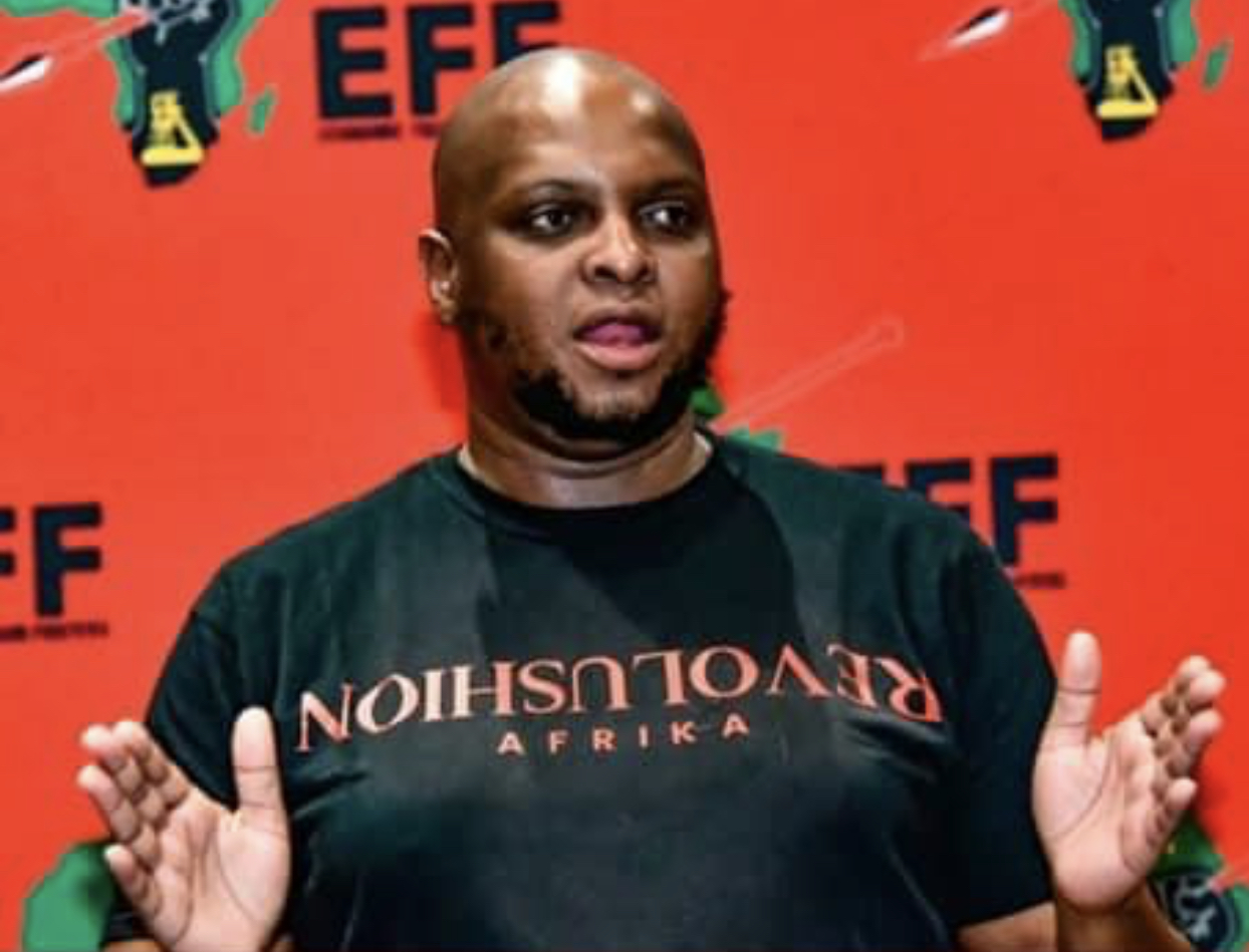 EFF DEPUTY PRESIDENT FLOYD EFFORTS: MPs Bacede Mabuza,Mthandeni Dube to be visited by international Legislators.