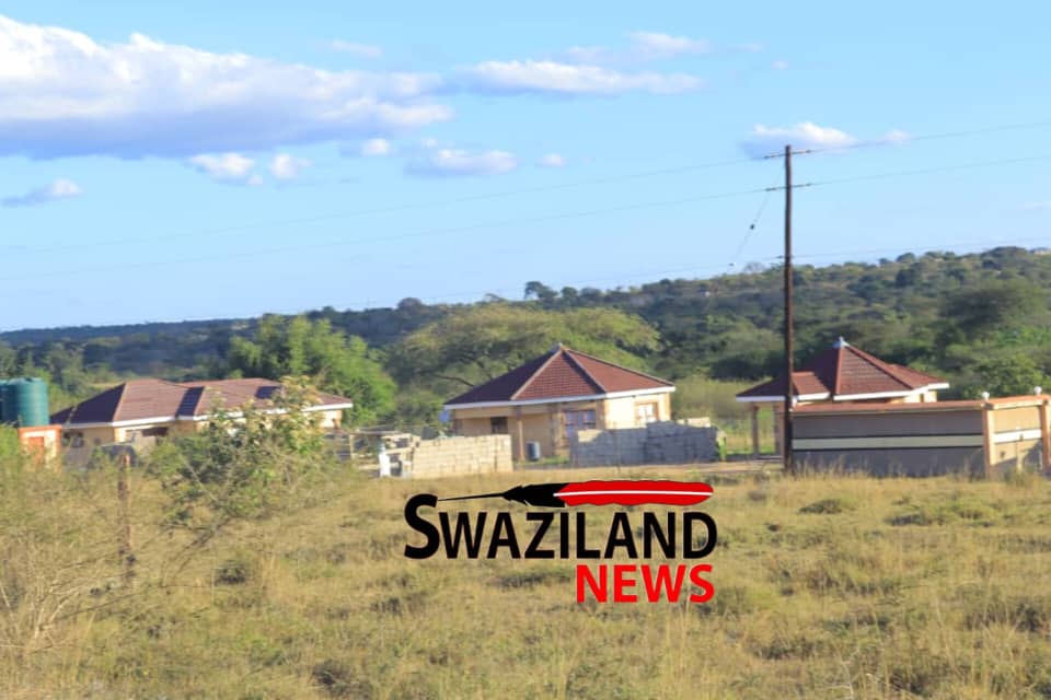  Aspiring Mayiwane MP Bongie Mavuso caught with twenty(20) bags of dagaa worth over R500,000.00, tried to bribe security officers with R100,000.00.