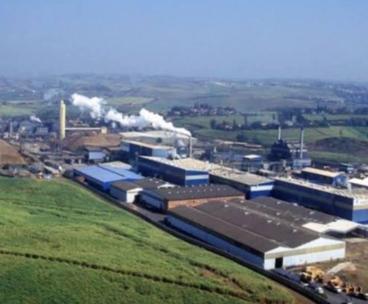 Finance Minister’s Montigny slams Eswatini Diaspora amid calls to ‘sanction’ forest company for supporting mercenaries.