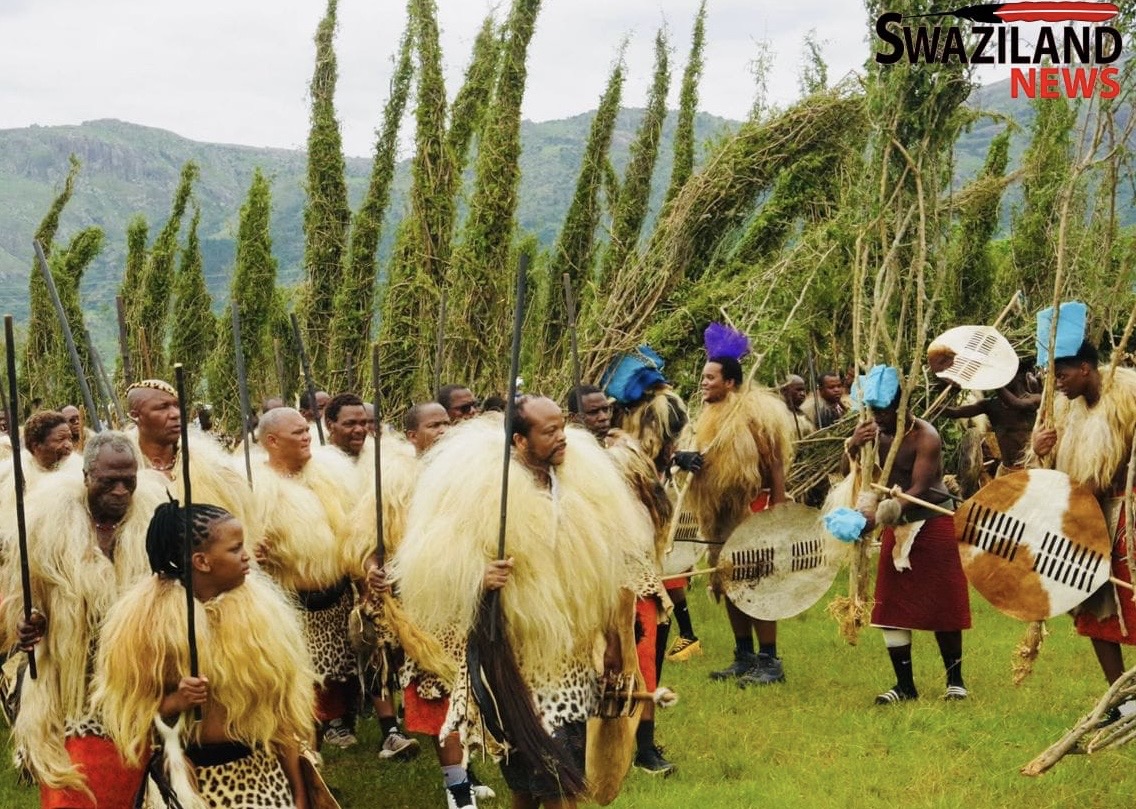 LOLUDLIWA TINDLOVU:King Mswati inspects Lusekwane before delivery by thousands of young boys (Ingatja) at Ludzidzini Palace.