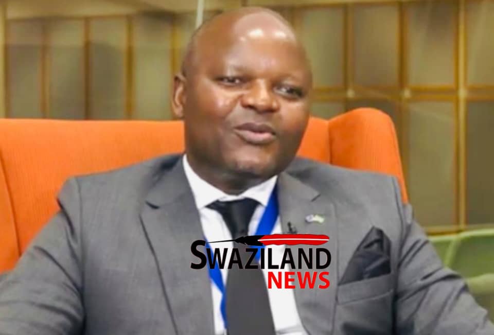 Buy&Save SPAR boss Tony Sibandze, ex-Senate Deputy President Ndumiso Mdluli re-elected as Senators.