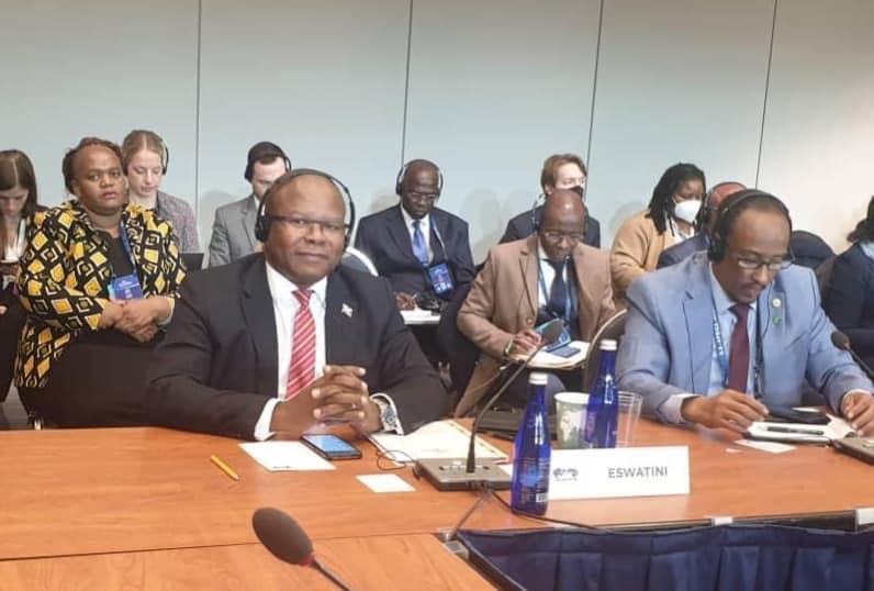 Commerce Minister Mancoba Khumalo urges US to consider long-term AGOA renewal.