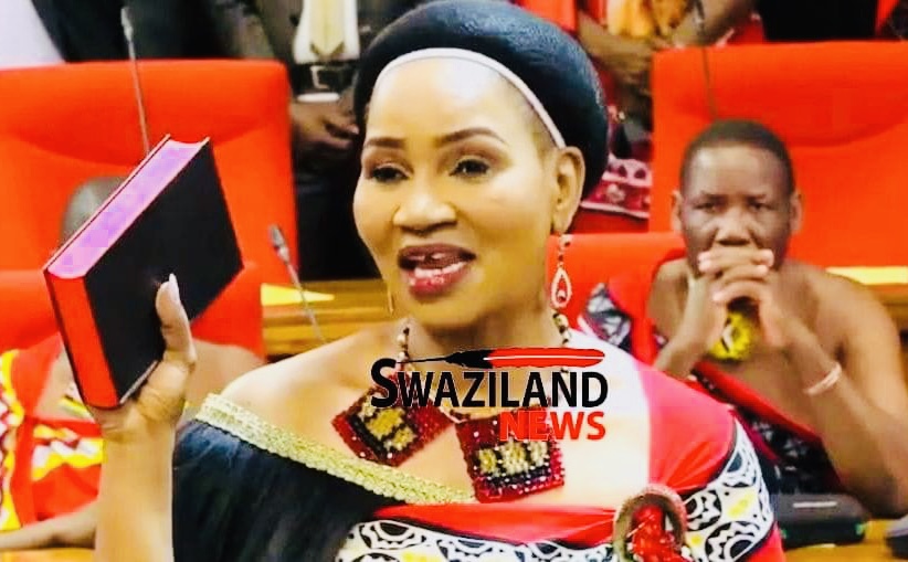 Senate President Lindiwe Dlamini’s alleged ‘Ben 10’ boyfriend Kwazi Masuku’s over R1million fraud investigation cited in leaked Financial Intelligence State documents.