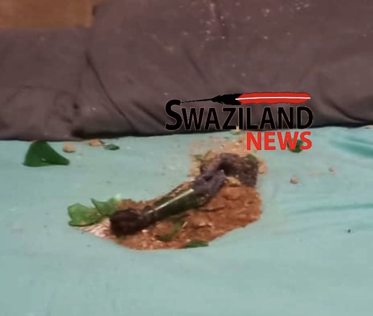 MSWATI’S ORDER: PUDEMO influential member Panuel Malinga attacked at night, bomb fails to explode.