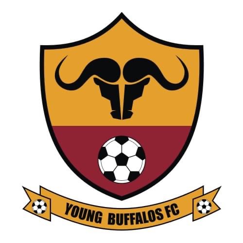 ‘NEW’ UNDERGROUND FORCES:We shot Young Buffaloes bus.