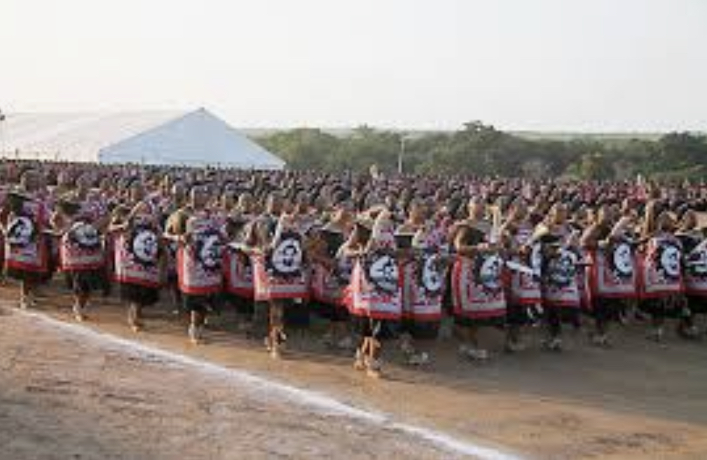 Swazis to preserve culture under a democratic government, Monarchy, Chiefs to account to the Constitution.