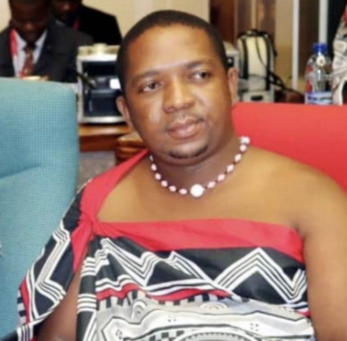 Deputy Speaker Buthelezi warns US against interfering in eSwatini politics, says Sibaya is the right forum.