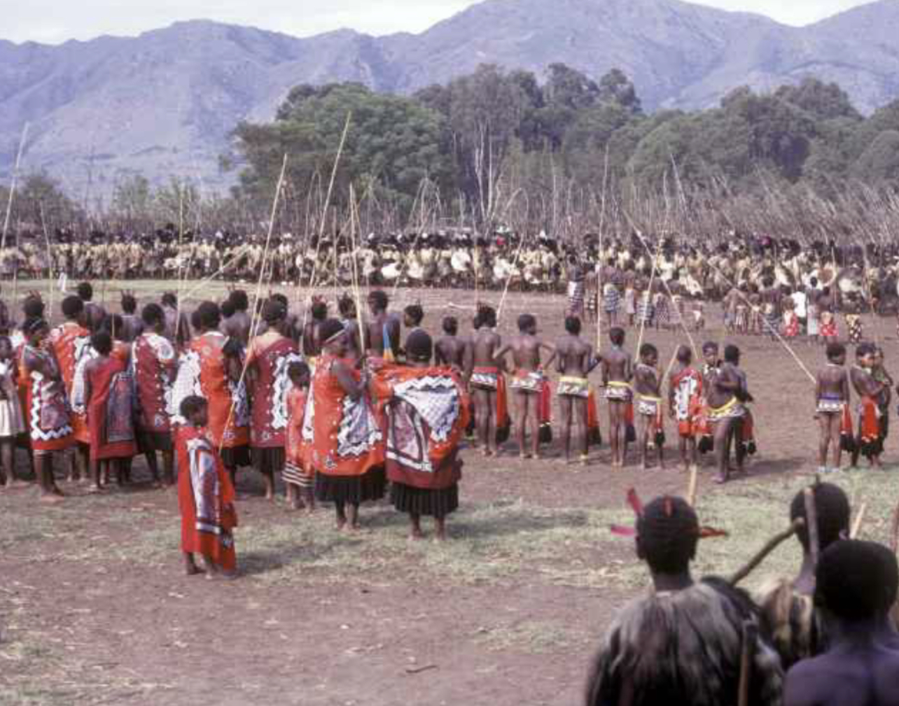 Pro-democracy groups say Sibaya reduces Swazis into mere subjects, demand a fair forum.
