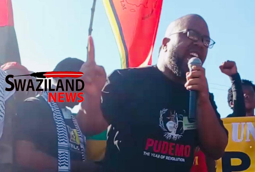 Political Parties Assembly(PPA) divided over PUDEMO Deputy President Wandile Dludlu’s Workers Day statement calling Prime Minister Russell Dlamini “sifanyana, sigegedlana”.