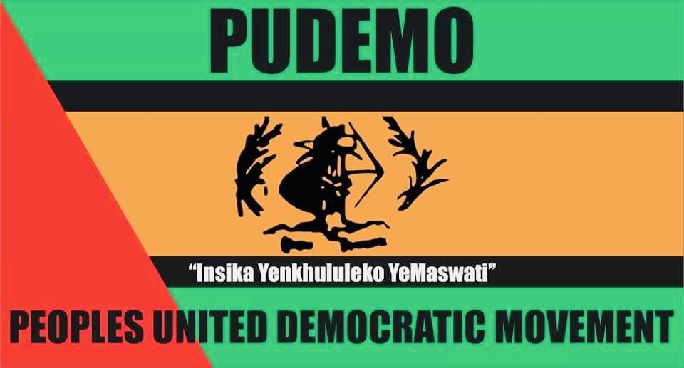 PUDEMO YOUTH LEAGUE DEPUTY SECRETARY GENERAL:Eswatini losing graduates to other countries amid scarcity of jobs.