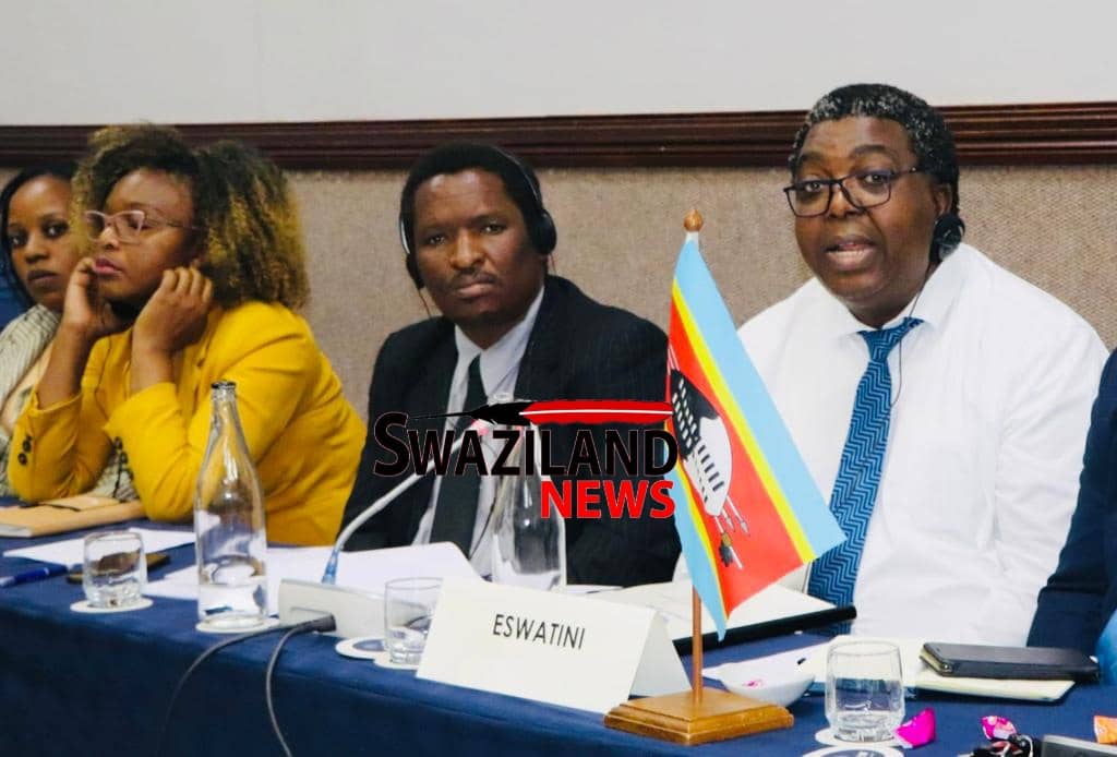 Agriculture Principal Secretary(PS) Sydney Simelane representing eSwatini in Incomati and Maputo Watercourse Commission meeting.