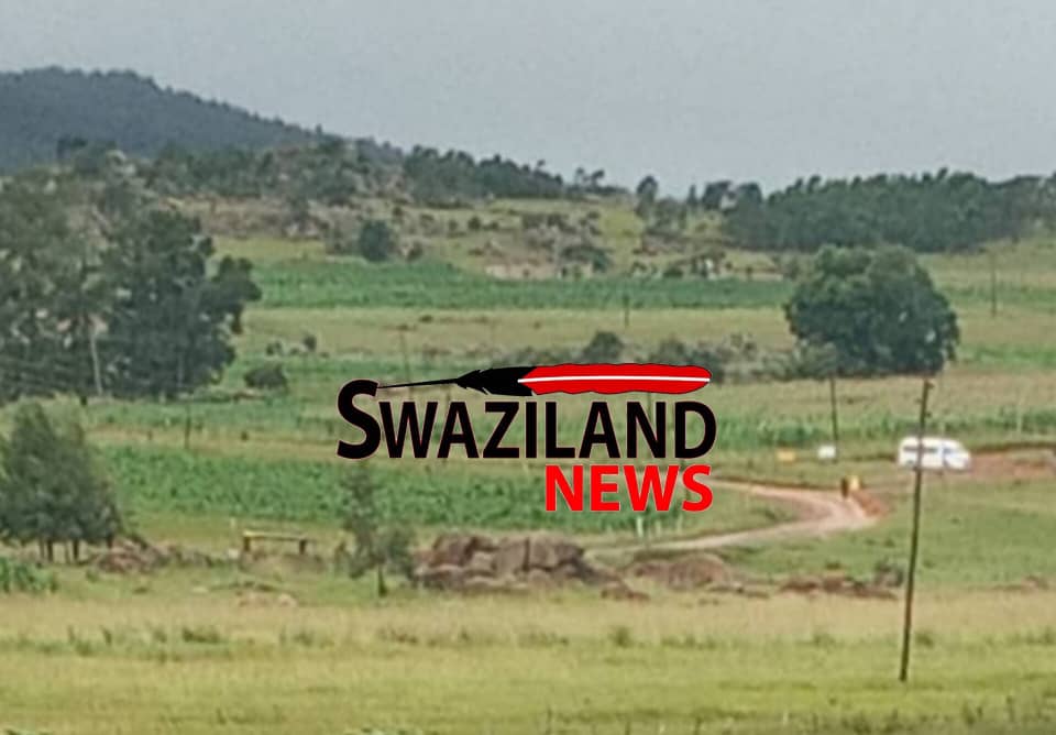 Senior Superintendent Clement Sihlongonyane under pressure to kill PUDEMO members before retirement,wants extended contract.