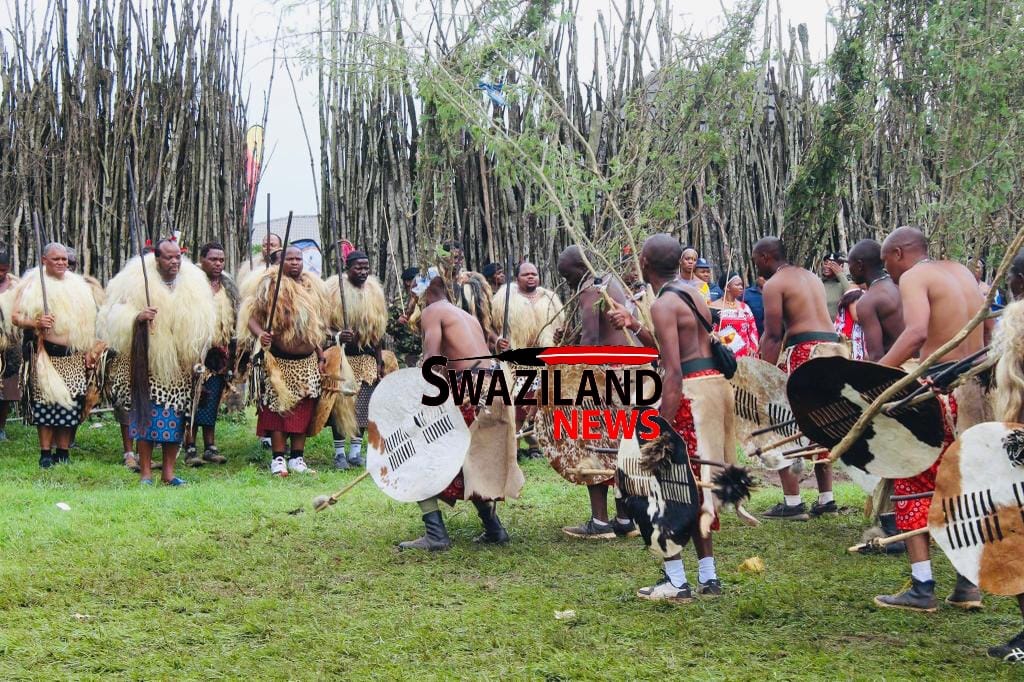 Thousands of Ingatja deliver Lusekwane before King Mswati at Ludzidzini Palace, main Incwala on Saturday.