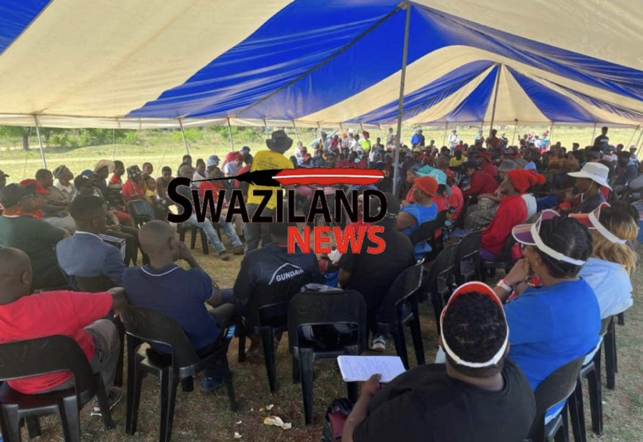 MSF CHAIRPERSON THULANI MASEKO:No elections with MPs behind bars.