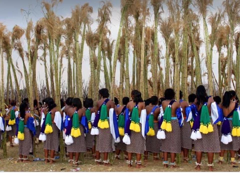 NNLC President urges royalty to utilise cancelled  Umhlanga budget in mitigating COVID-19 crisis