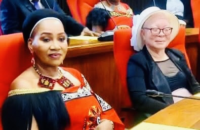 OPINION:So Senate President Lindiwe Gwebu-Dlamini wants emaSwati with different political views to fight each other so that her JC religious criminal cartel could be united, reign supreme and continue stealing public funds?.