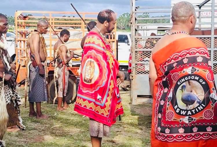 OPINION:I was recently stopped from selling my cow to a butchery due to “foot and mouth” restrictions but King Mswati is able to receive cattle and violate rules thus endangering our livestock.