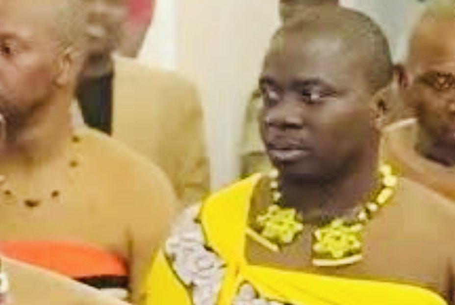 PUDEMO Youth League President wants Government and the police to be held accountable for torturing ex-EFF Swaziland Ncamiso Ngcamphalala, pay all costs of taking him for counseling after being forced to consume his own waste.