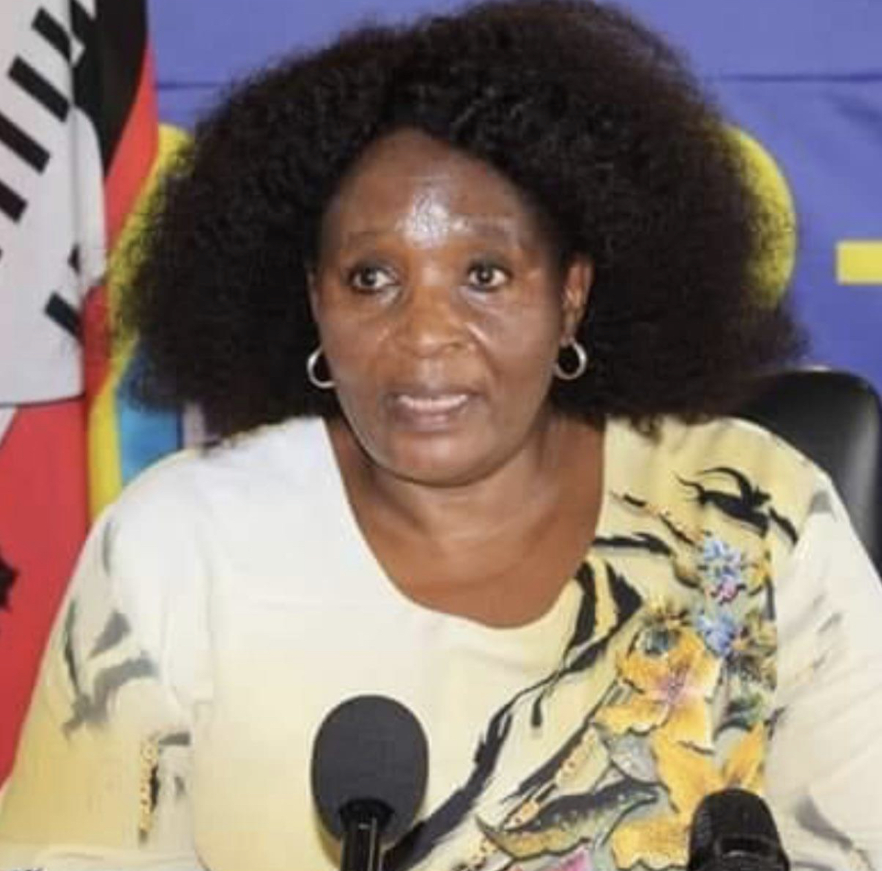 US urges Mswati to embrace democratic reforms, eSwatini Government wants to influence SADC.