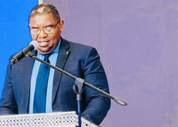 REVEALED:MVA Board Chairman Zithulele Gina confirms ‘suspension’ of top Managers amid investigation into procurement of R59million SAP-ERP system without informing Cabinet, CEO David Myeni might resign.