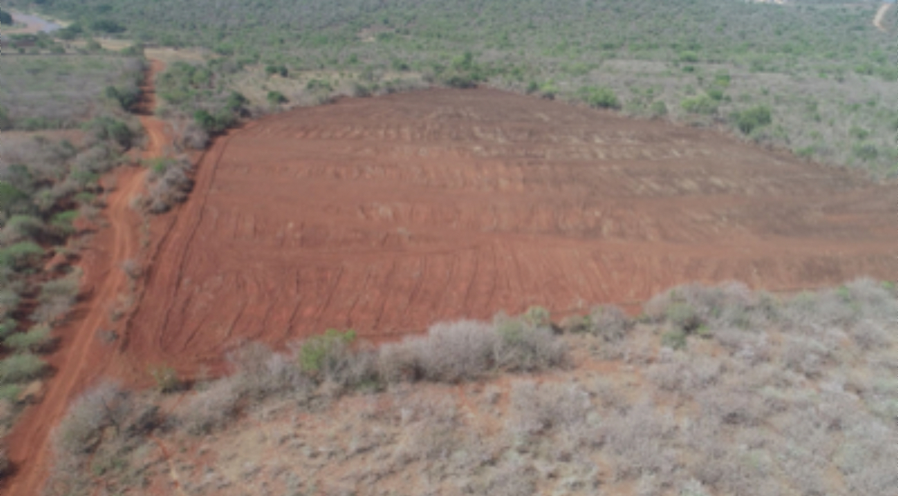 SOWING HOPE:Eswatini Water and Agricultural Development Enterprise(EWADE) plants maize for families affected by construction of R2.6billion Mpakeni Dam.