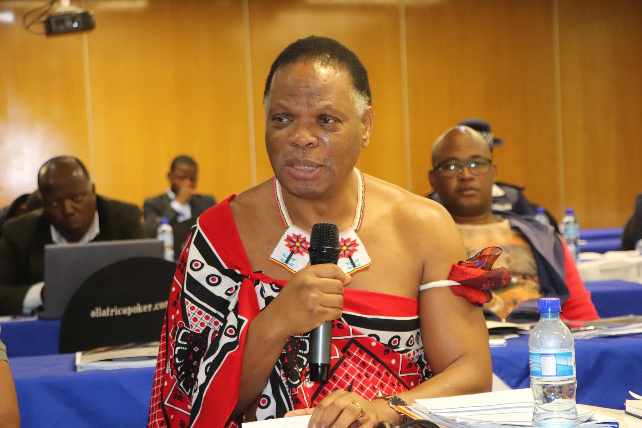 Natural Resources Minister Prince Lonkhonkhela urges Parliament to assist in developing policies to increase access to affordable electricity.