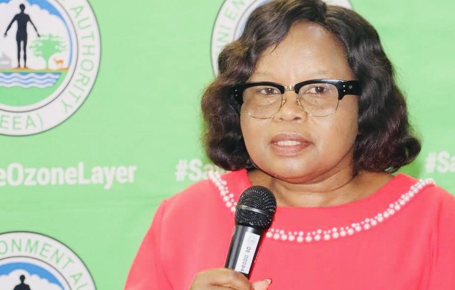 “Parliament Select Committee recommendations not legally binding and therefore, plastics remain banned in the country”, Tourism Minister Jane Mkhonta-Simelane tells MPs. 