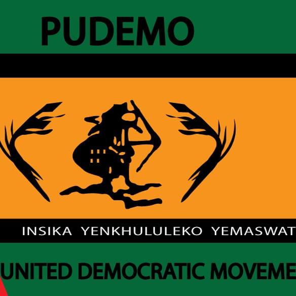 PUDEMO urges government to distribute food, use security officers as COVID-19 volunteers 