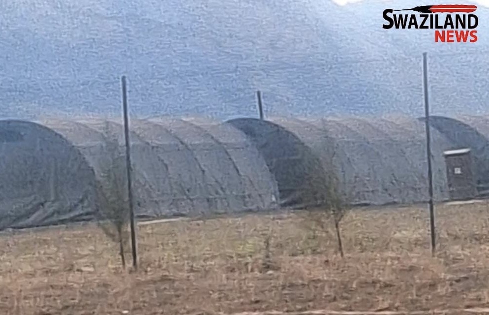 REVEALED:Defense Principal Secretary(PS) Prince Sicalo refuses to officially open new over R1million Military Police Tents, demands answers as Army Commander Mashikilisane Fakudze allegedly steals air conditioners.