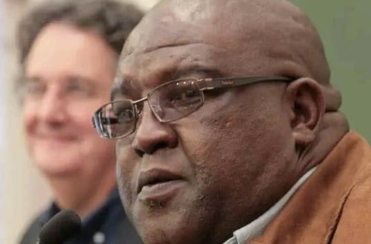 Bheki Makhubu. picture