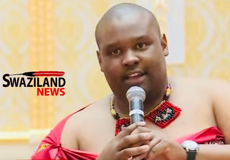 Prime Minister unleashes Anti Corruption Commission to investigate Senator Siphelele Mkhonta who questioned him on cabal statement, legal expert says interference undermines independence of the ACC.