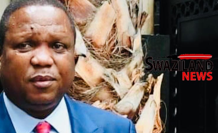 REVEALED:Minerals Board Chairman Prince Guduza leads King’s delegation to engage investors in China,furious Taiwan Ambassador Jeremy Liang perceive trip as betrayal.