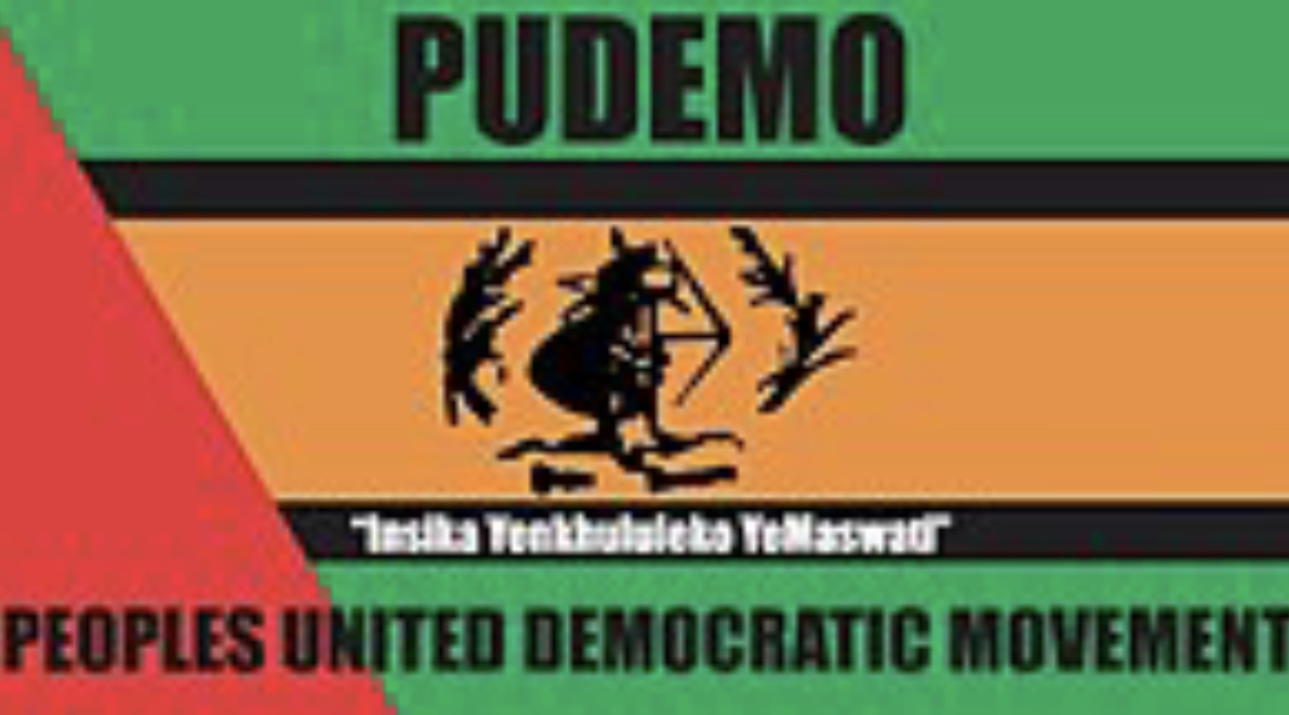 HILLARY GARDEE MURDER: PUDEMO applauds efforts by the South African police after the arrest of their member.