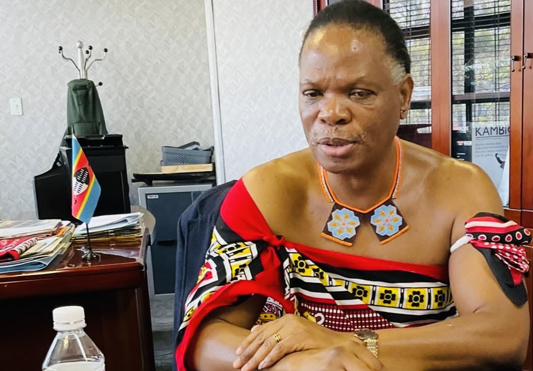OPINION:Natural Resources Minister Prince Lonkhonkhela fooling emaSwati by pretending to be shocked on electricity increase,Energy Regulator cannot take decision without briefing him as the political head.