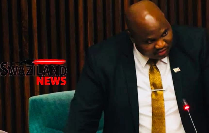 PROPOSED VAT INCREASE:Nothing wrong with paying tax Mr Mayiwane MP if the Government utilizes public funds for the benefit of the people, eSwatini Government a bunch of corrupt political thieves.